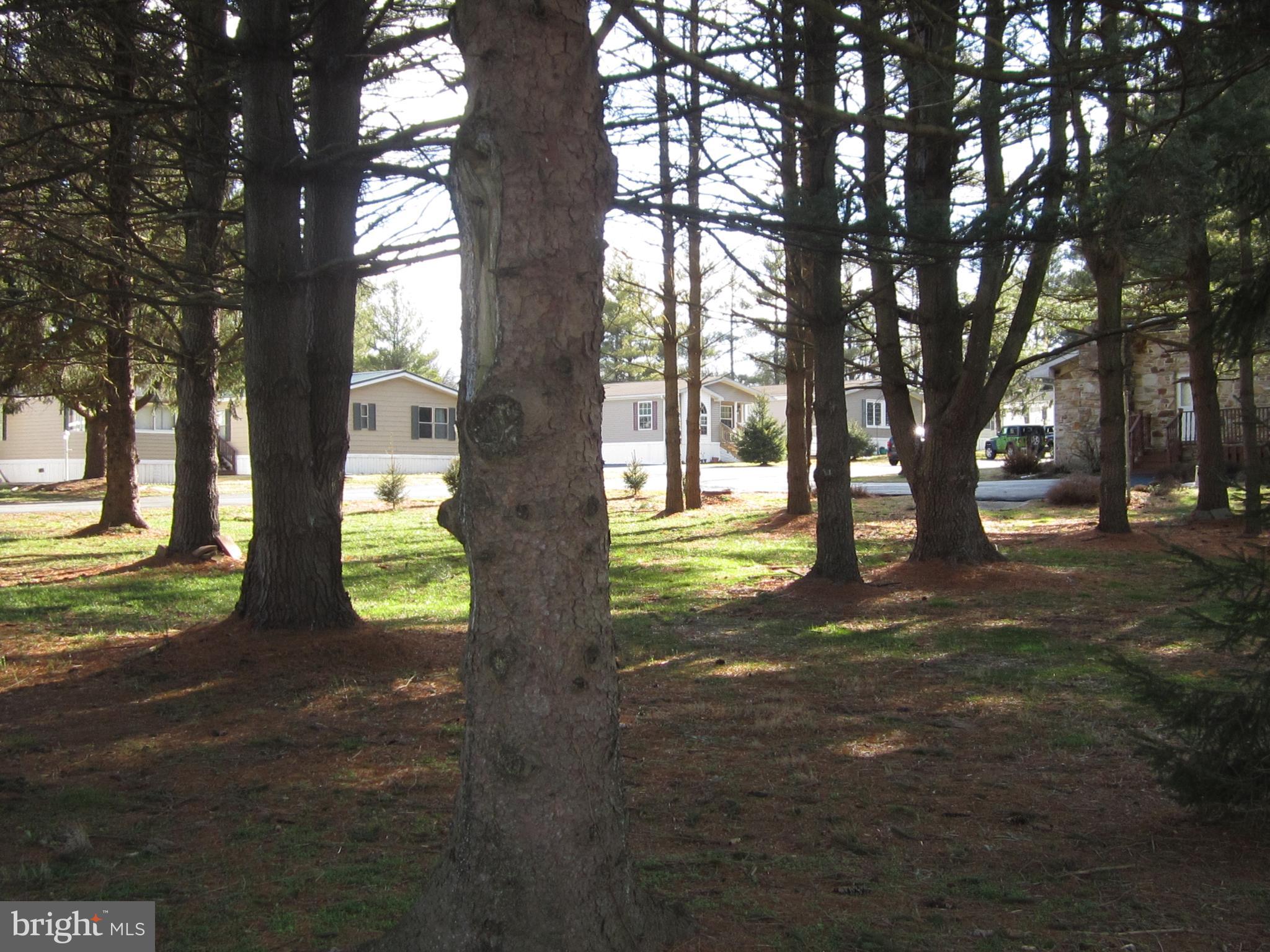 4140 Conowingo Road, Unit 1 Darlington, MD 21034 - Photo 22 of 26 Idyllic park like setting