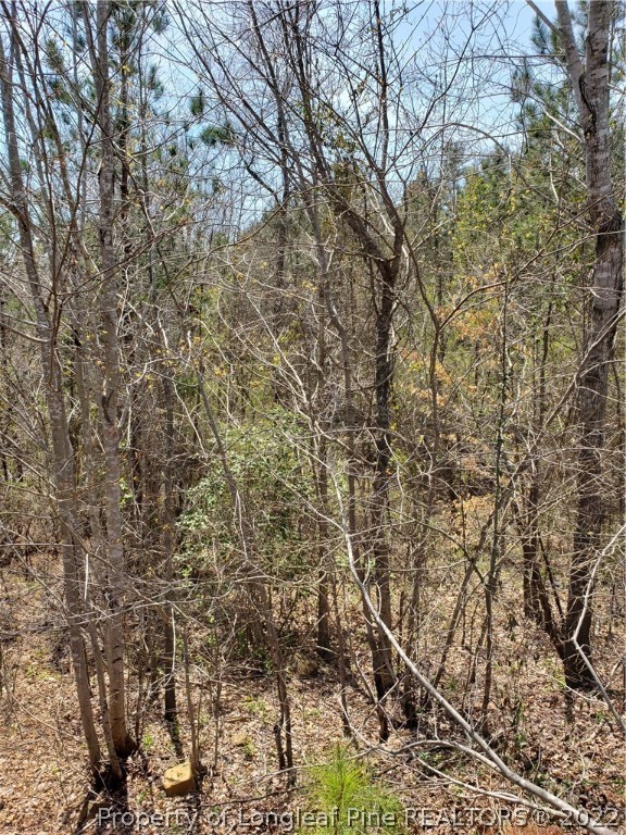 Cotten Road Sanford, NC 27330 - Photo 4 of 5 Gallery Image 4