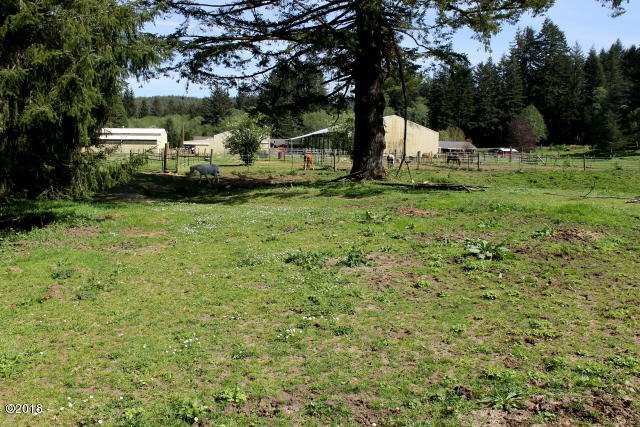 290 Camp 12 Loop Toledo, OR 97391 - Photo 16 of 29 Back pasture