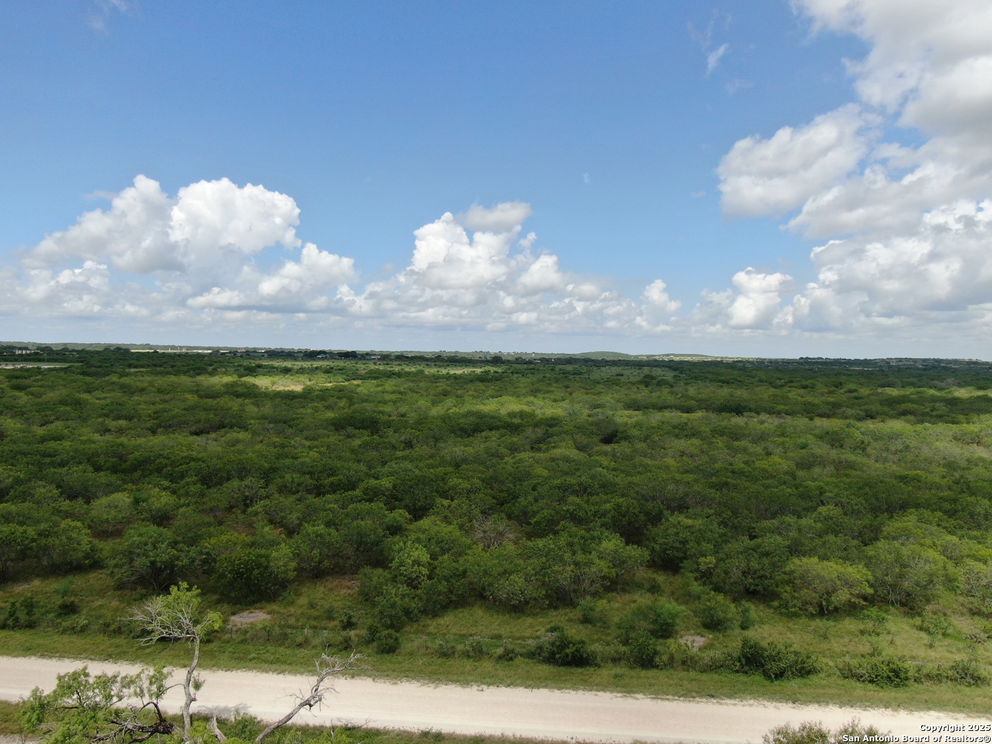 Tract 4 County Rd 208 Hobson, TX 78117 - Photo 2 of 7