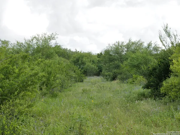 $187,500 | Tract 4 County Rd 208, Hobson, TX 78117