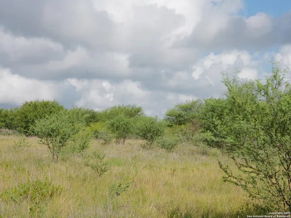 $187,500 | Tract 4 County Rd 208, Hobson, TX 78117