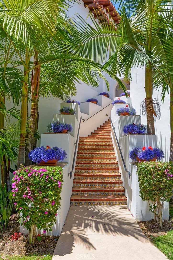 7323 Estrella De Mar Road, Unit 41 Carlsbad, CA 92009 - Photo 32 of 34 a view of a garden with flowers and trees