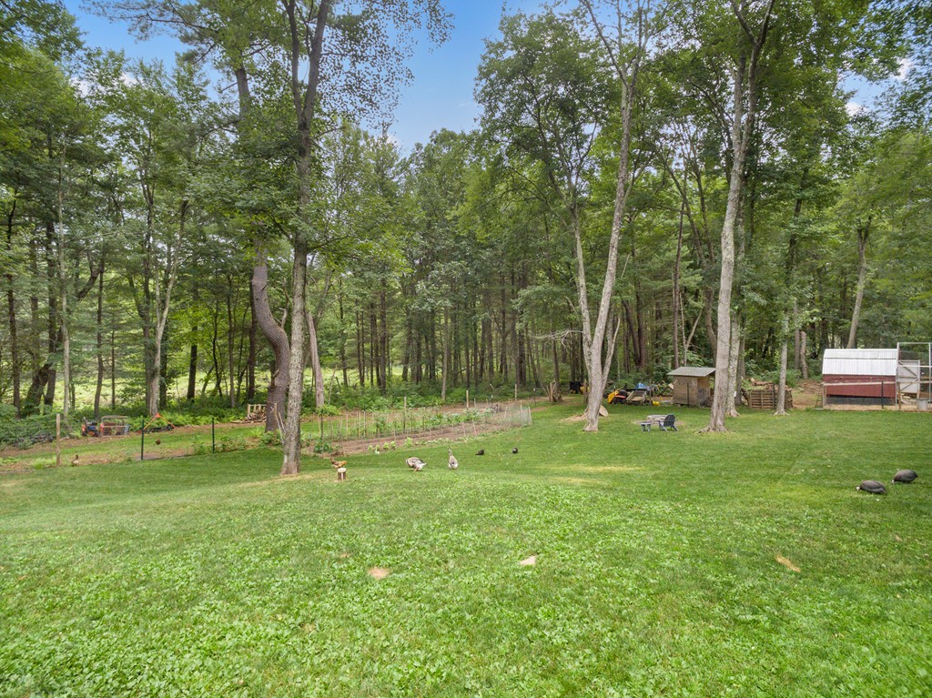 28 Mill Road North Brookfield, MA 01535 - Photo 20 of 29 a view of a park with trees and grass