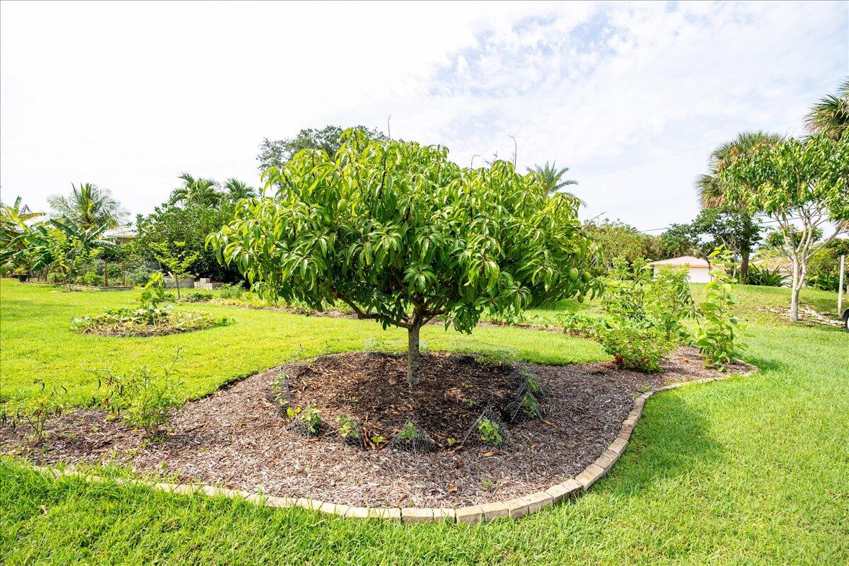 2653 Northwest S Shore Road Stuart, FL 34994 - Photo 64 of 81 Garden