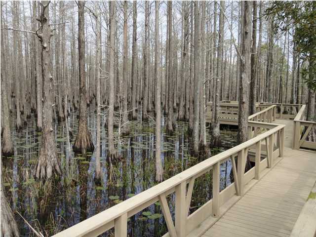 56 Cypress Ridge Santa Rosa Beach, FL 32459 - Photo 30 of 36 Gallery Image 30