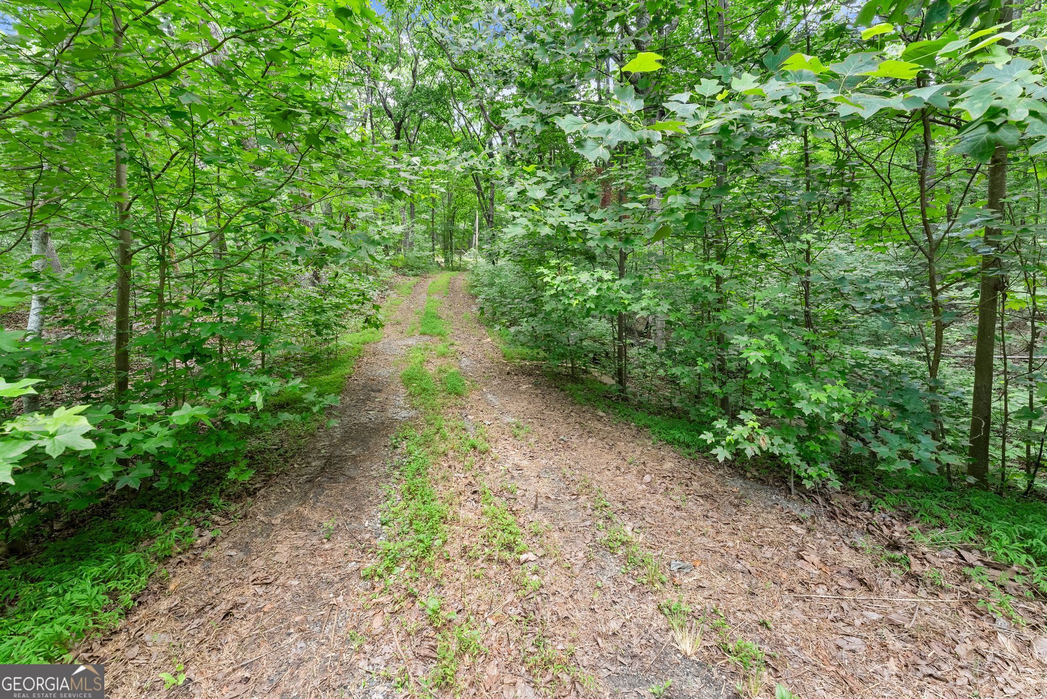 0 Wauka Ridge Road Clermont, GA 30527 - Photo 12 of 32