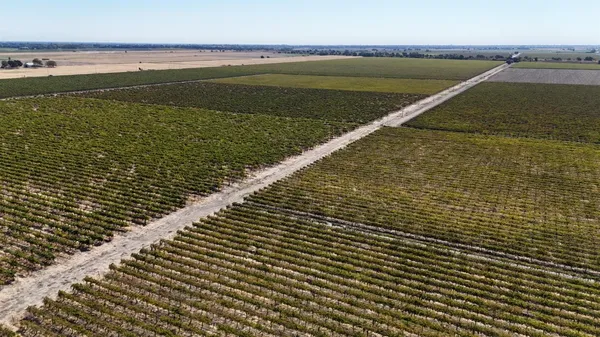 a view of an outdoor space and yard