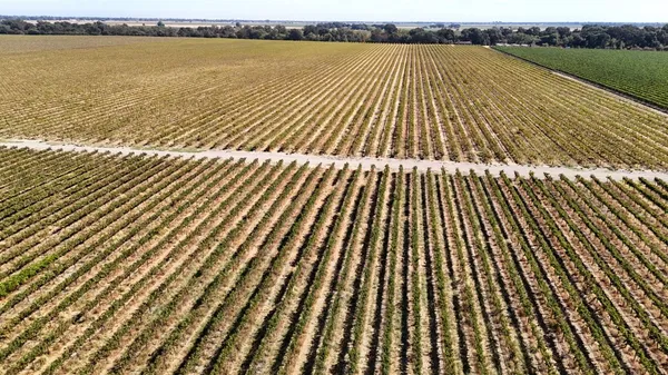 a view of backyard with a table and chairs and potted plants