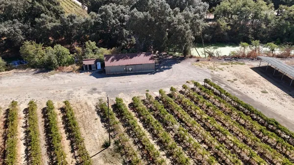 a view of entryway with flower plants