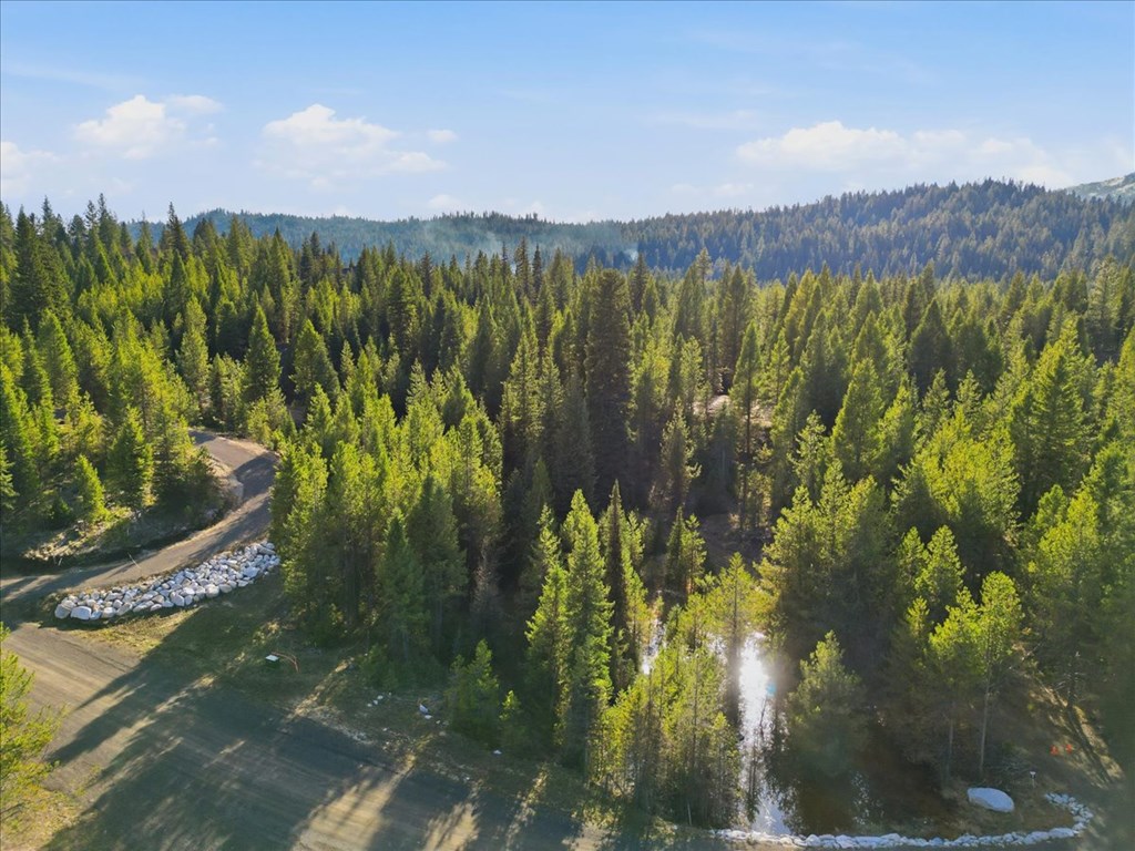 19 Dakota Way Cascade, ID 83611 - Photo 9 of 22