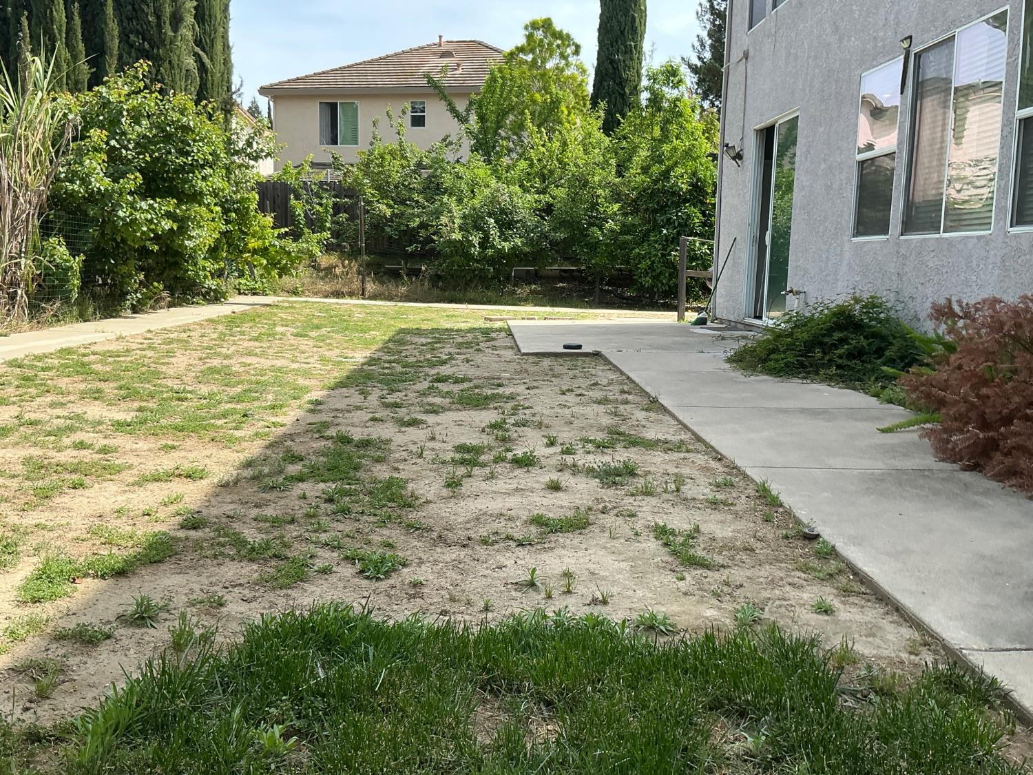 7784 Megan Ann Way Antelope, CA 95843 - Photo 19 of 20 a view of a backyard