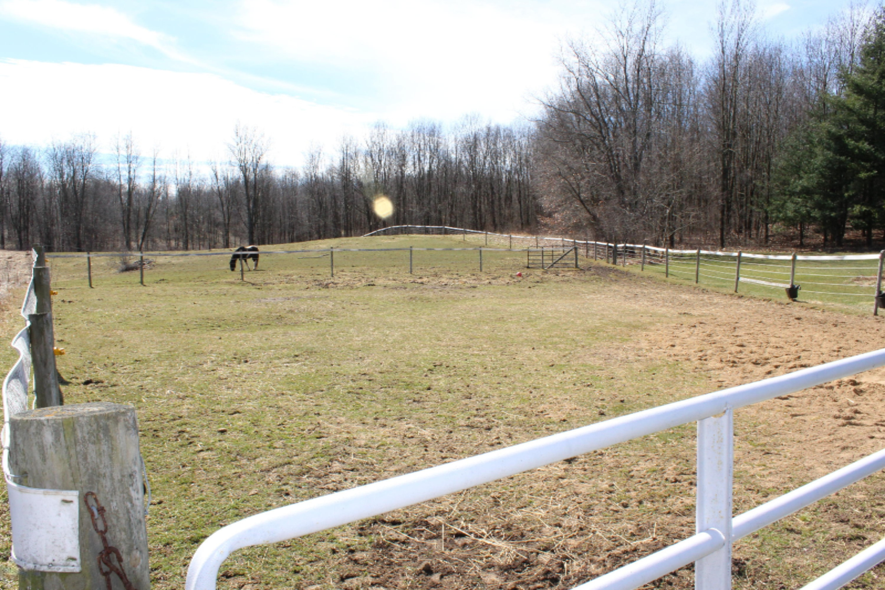 8643 Bever Road Delton, MI 49046 - Photo 50 of 55 IMG_2902