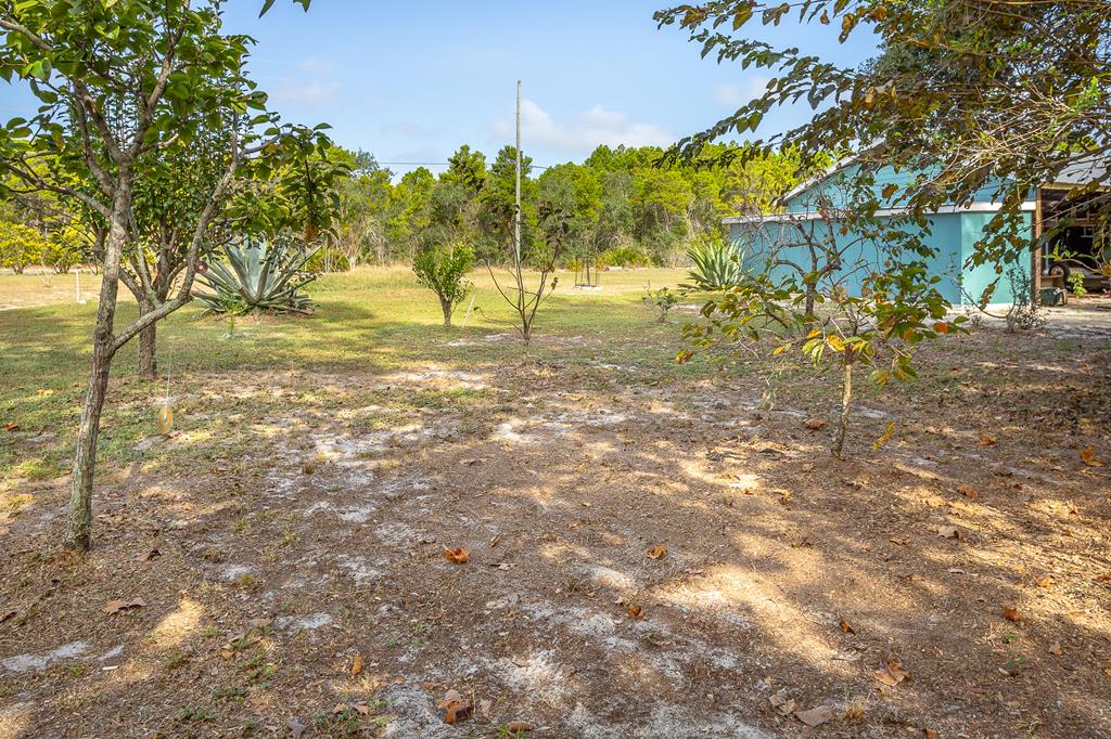 34 Hammock Cove Road Eastpoint, FL 32328 - Photo 60 of 60
