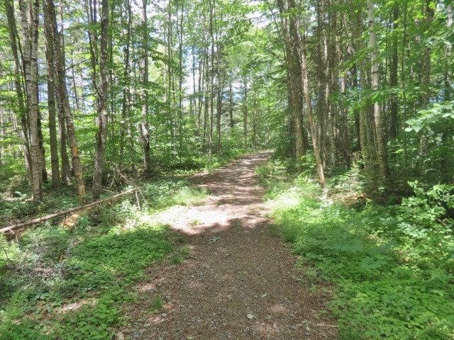 0 Colby Pond Road Ludlow, VT 05149 - Photo 11 of 12