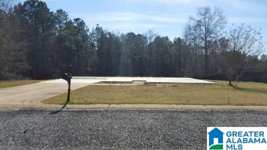 16256 Colin Lane, Unit 39 Ralph, AL 35480 - Photo 3 of 4