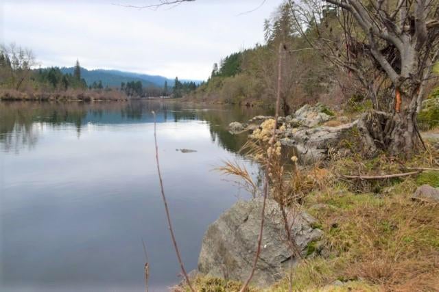5075 Riverbanks Road Grants Pass, OR 97527 - Photo 10 of 15 Salmon & steelhead fishing galore