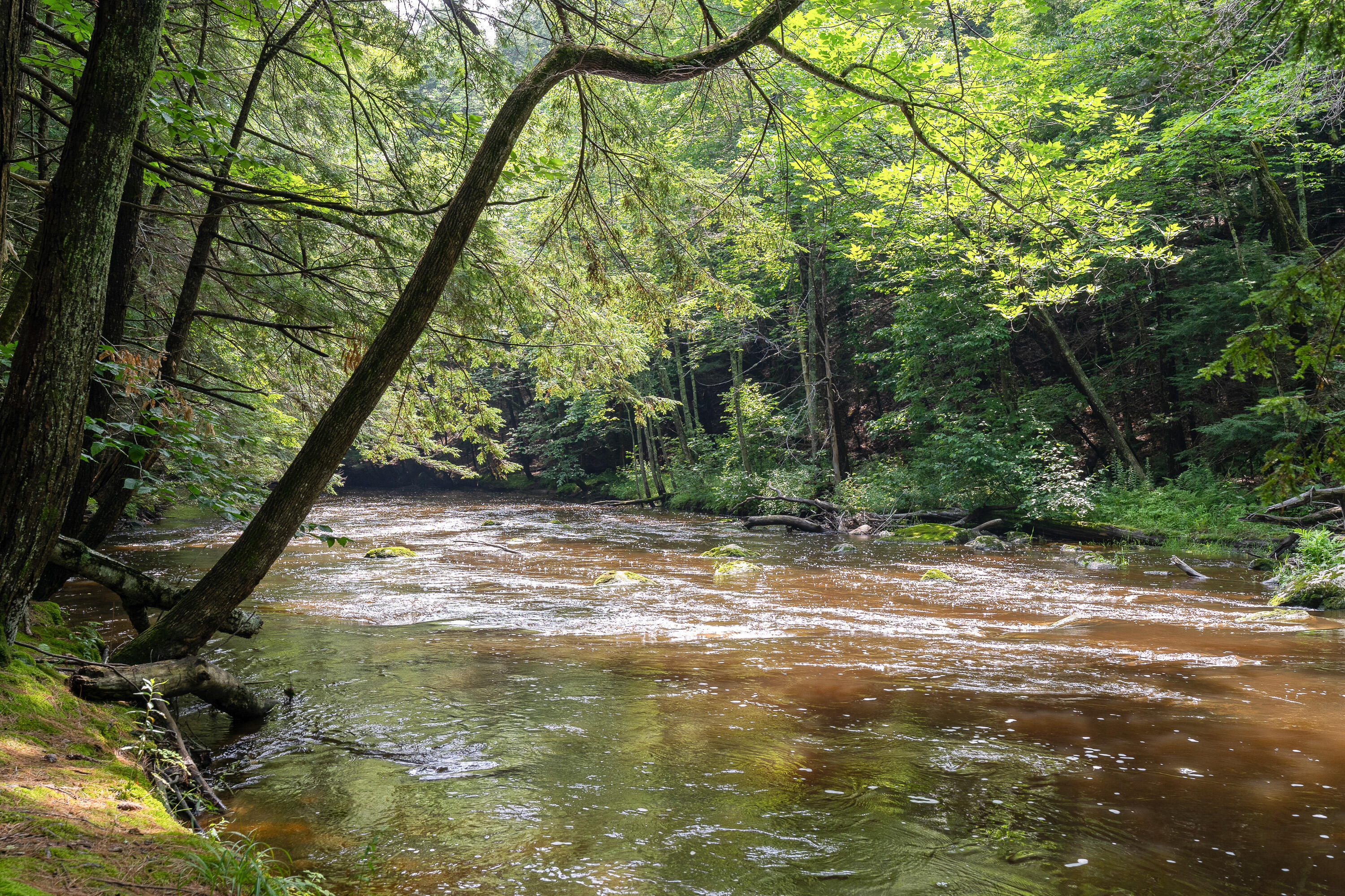 173 Windham Center Road Windham, ME 04062 - Photo 4 of 53 River1