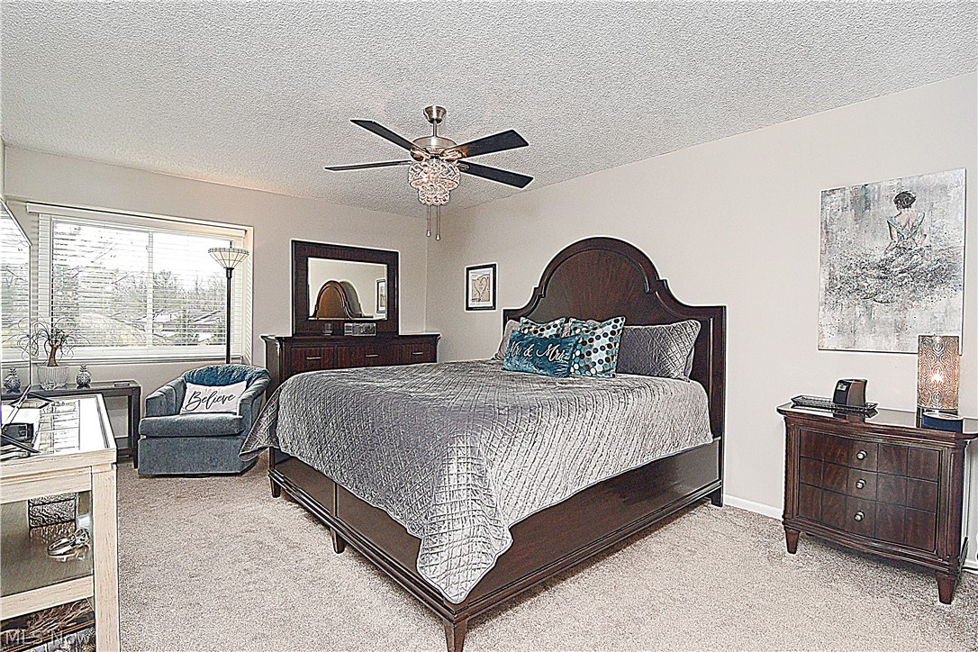 659 Hampton Ridge Drive Akron, OH 44313 - Photo 12 of 26 Spacious Master Bedroom
