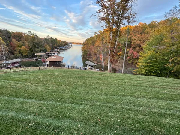 a view of a park with large trees