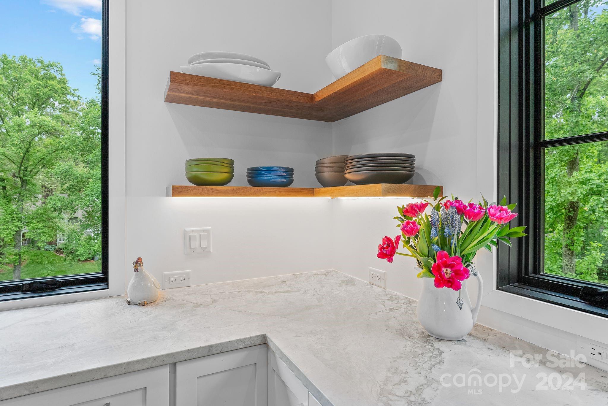 38 Brookwood Road Asheville, NC 28804 - Photo 28 of 45 a white painted room with a potted plant