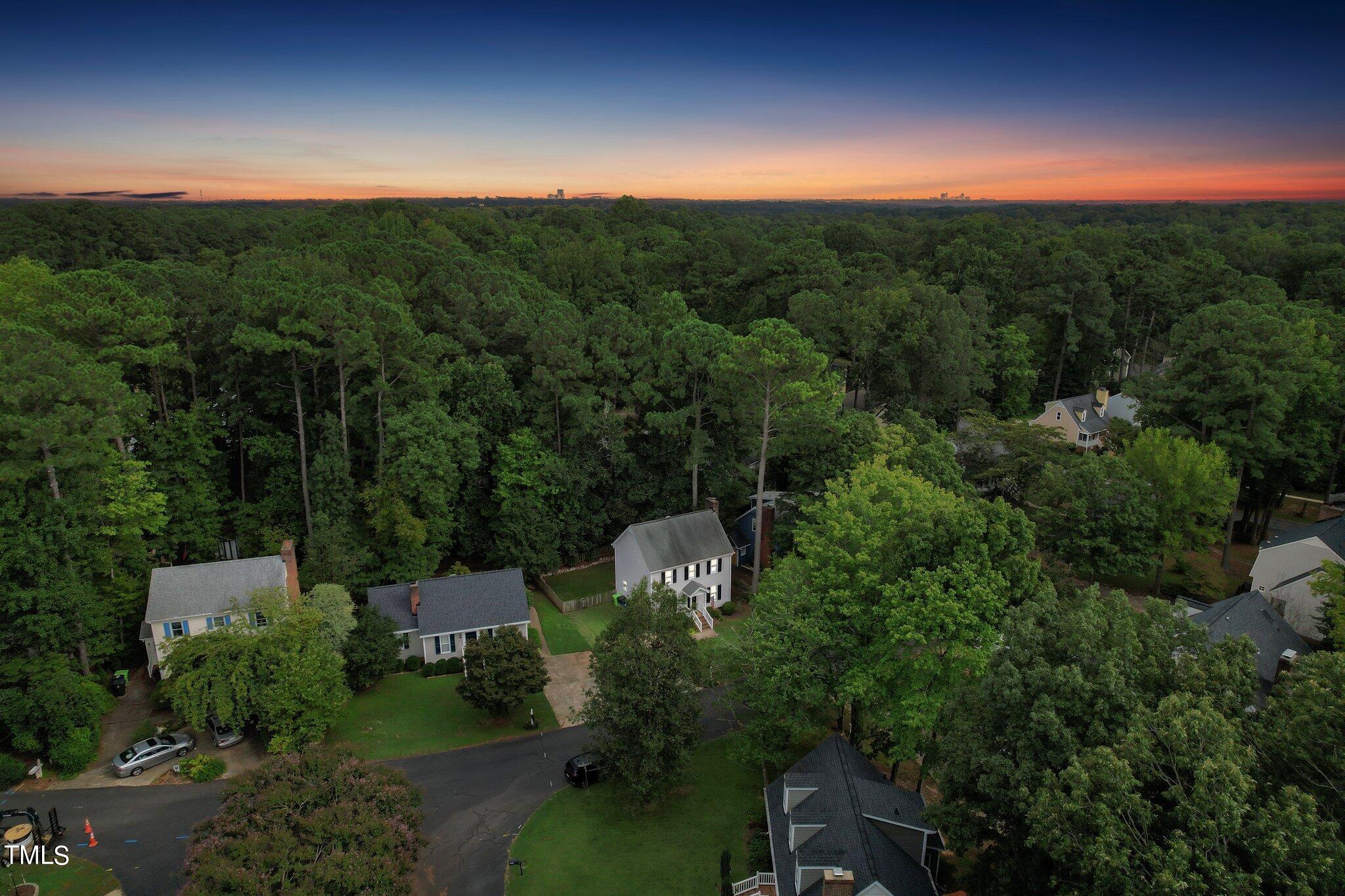 7012 Sandringham Drive Raleigh, NC 27613 - Photo 44 of 46 a view of a city with lush green forest