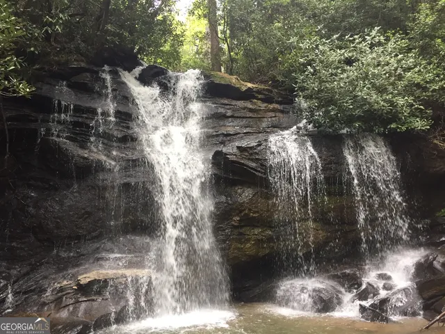 a view of a back yard with potted plants