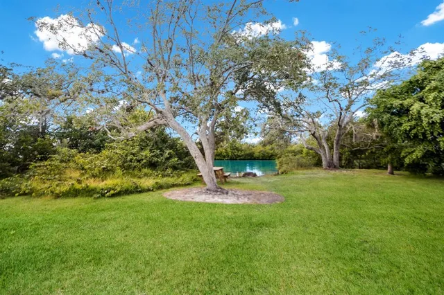 a view of a tree in front of a house with a yard