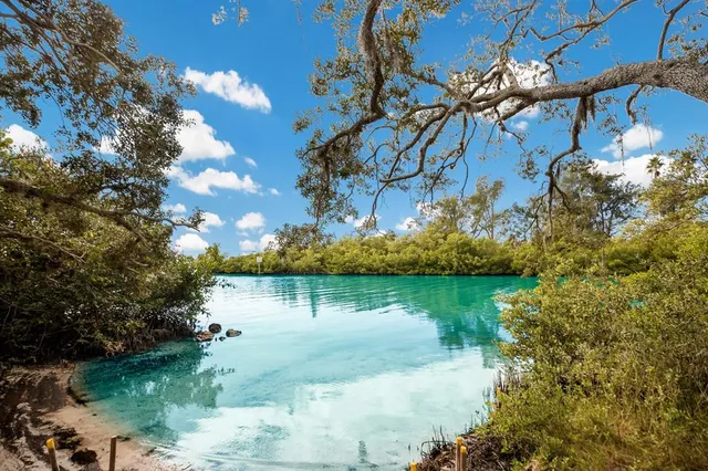 a view of a lake in between two of trees