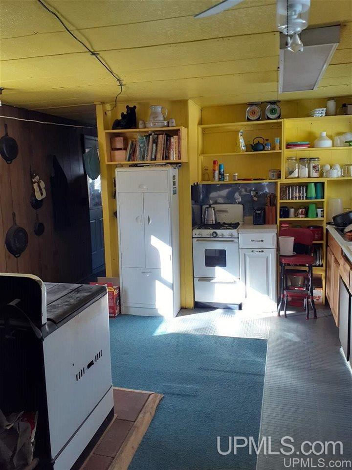 3521 West Cold Springs Road Chatham, MI 49816 - Photo 10 of 40