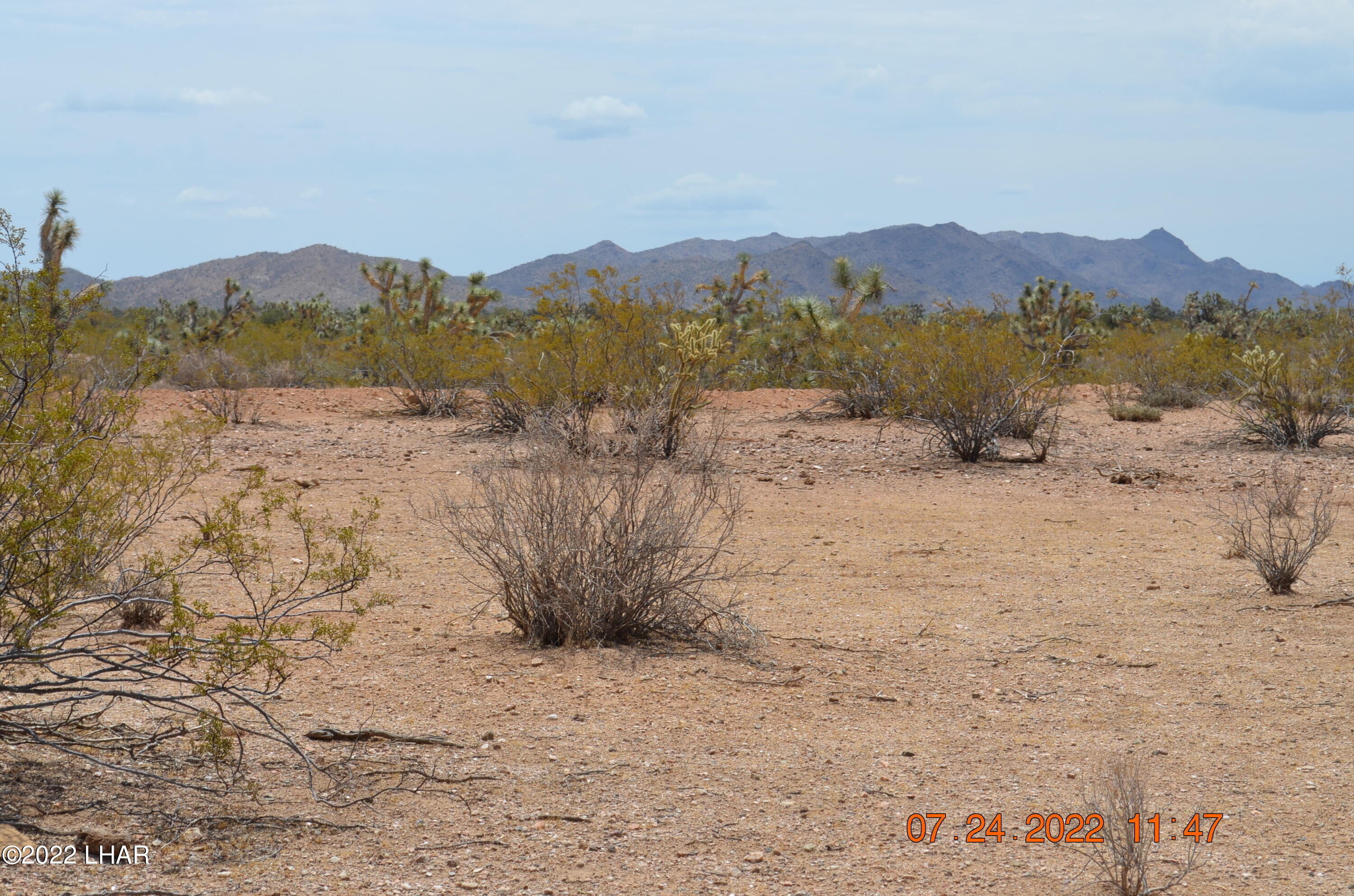 2075 South Cheyenne Road Yucca, AZ 86438 - Photo 11 of 26 Another View