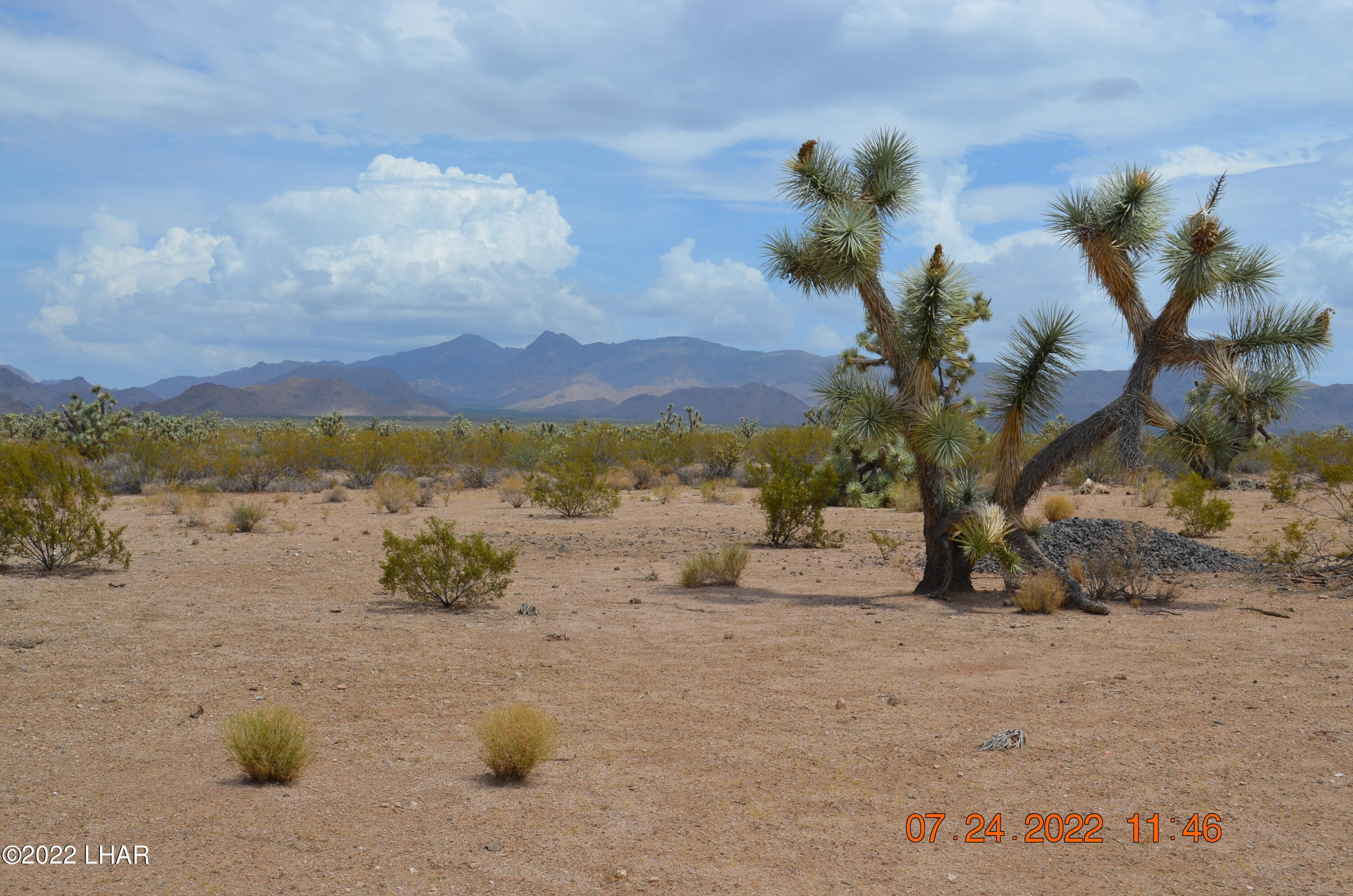 2075 South Cheyenne Road Yucca, AZ 86438 - Photo 12 of 26 Another View