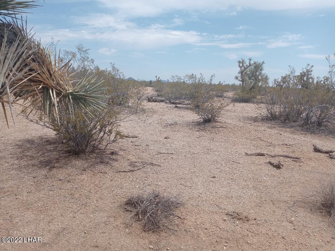 2075 South Cheyenne Road Yucca, AZ 86438 - Photo 14 of 26 One of Several Level Areas on Property