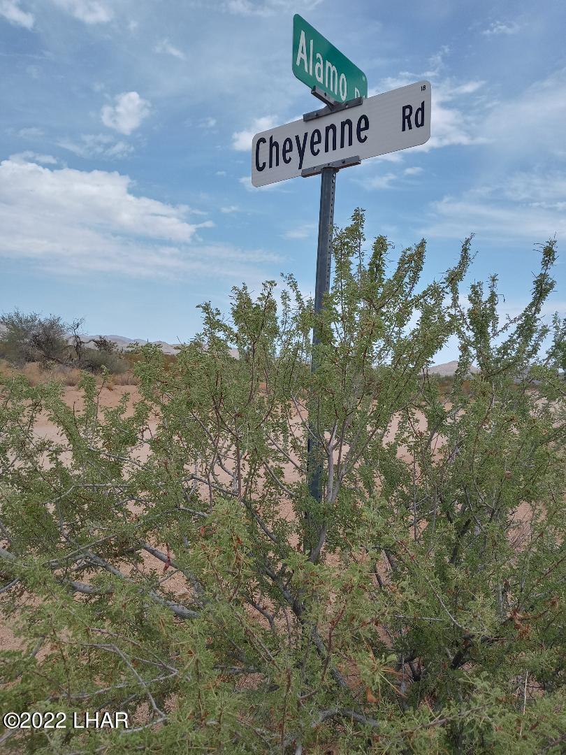 2075 South Cheyenne Road Yucca, AZ 86438 - Photo 15 of 26 Turn Onto Cheyenne From Alamo Rd
