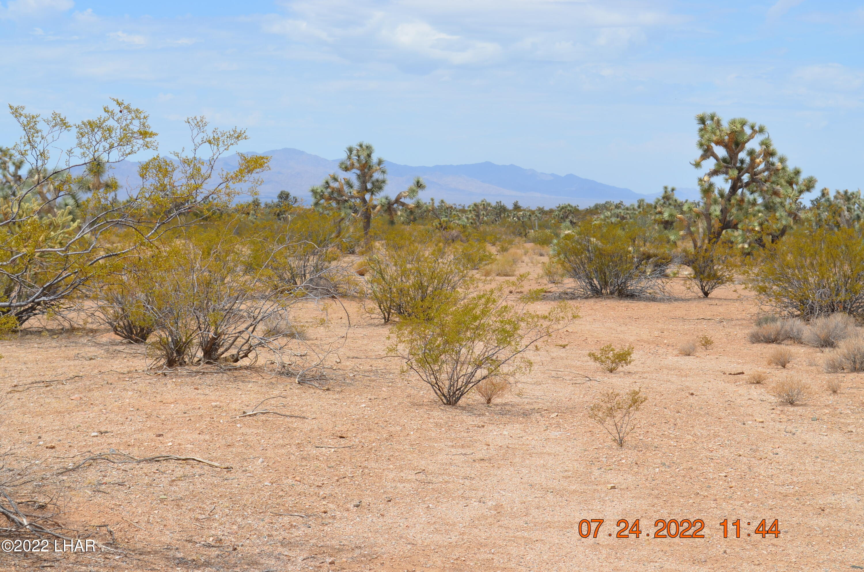 2075 South Cheyenne Road Yucca, AZ 86438 - Photo 18 of 26 More Views