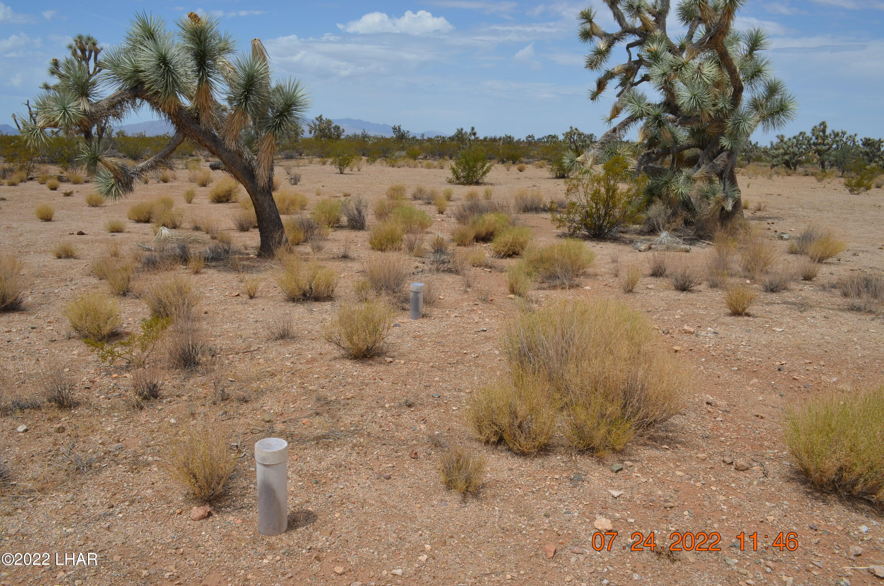 2075 South Cheyenne Road Yucca, AZ 86438 - Photo 2 of 26 Septic System's In