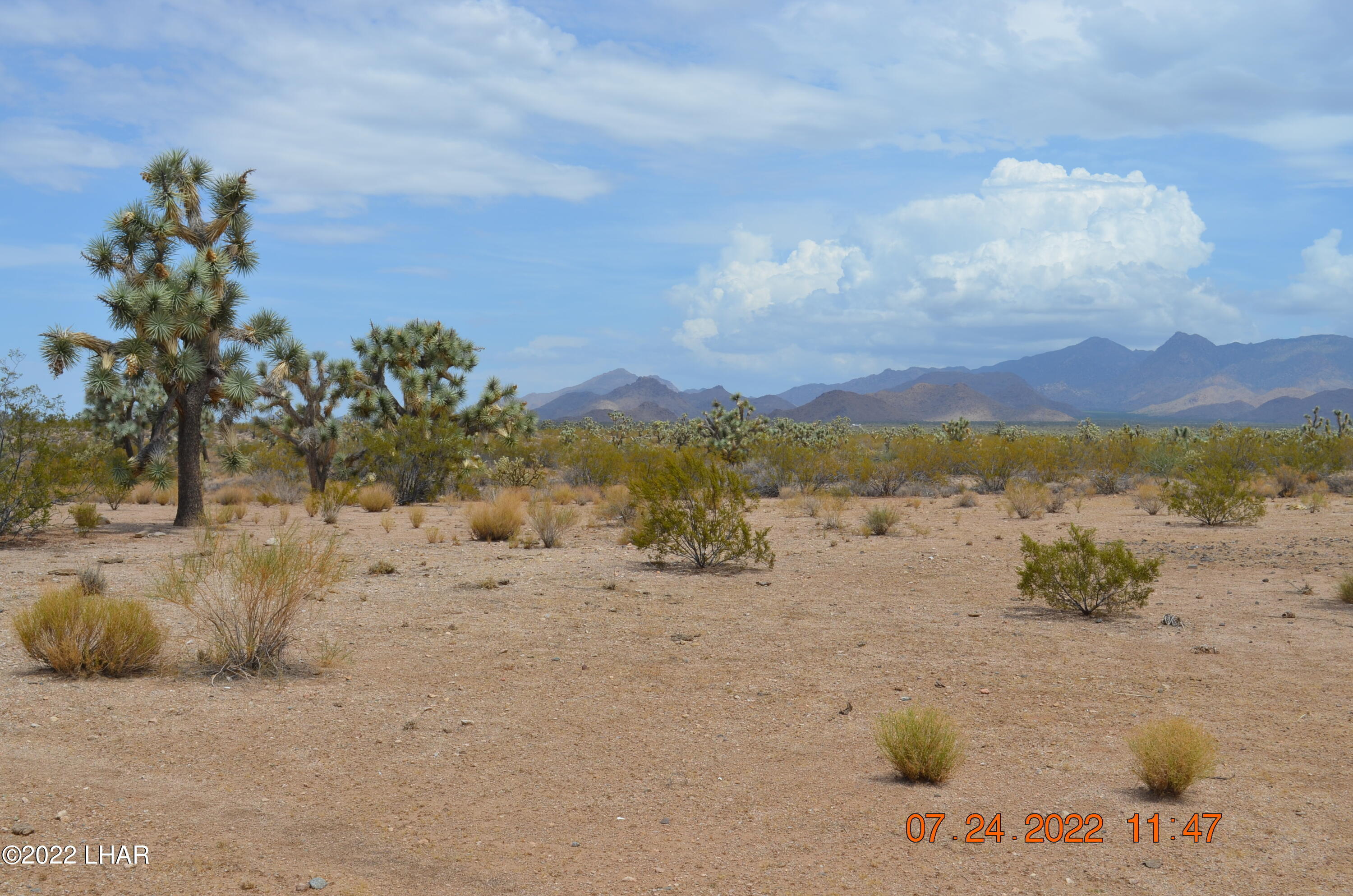 2075 South Cheyenne Road Yucca, AZ 86438 - Photo 23 of 26 Another Level Area to Build