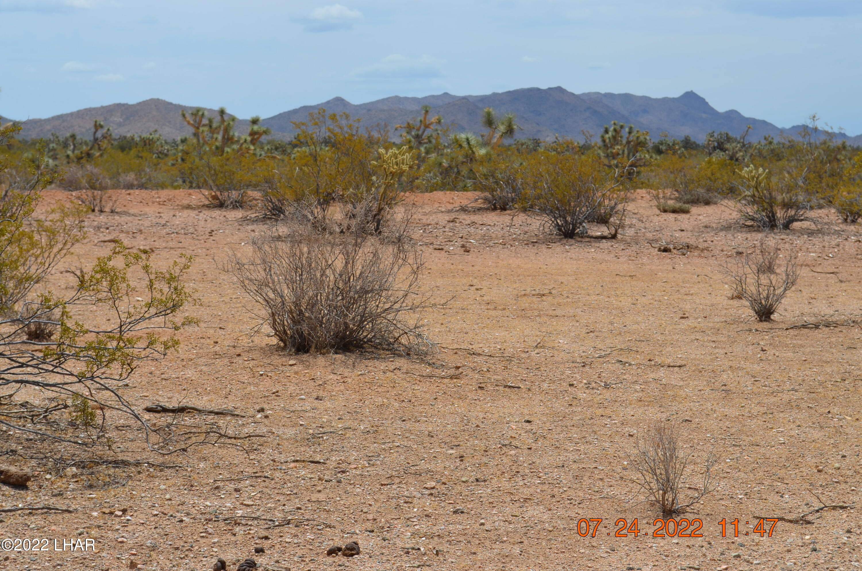 2075 South Cheyenne Road Yucca, AZ 86438 - Photo 24 of 26 Another View
