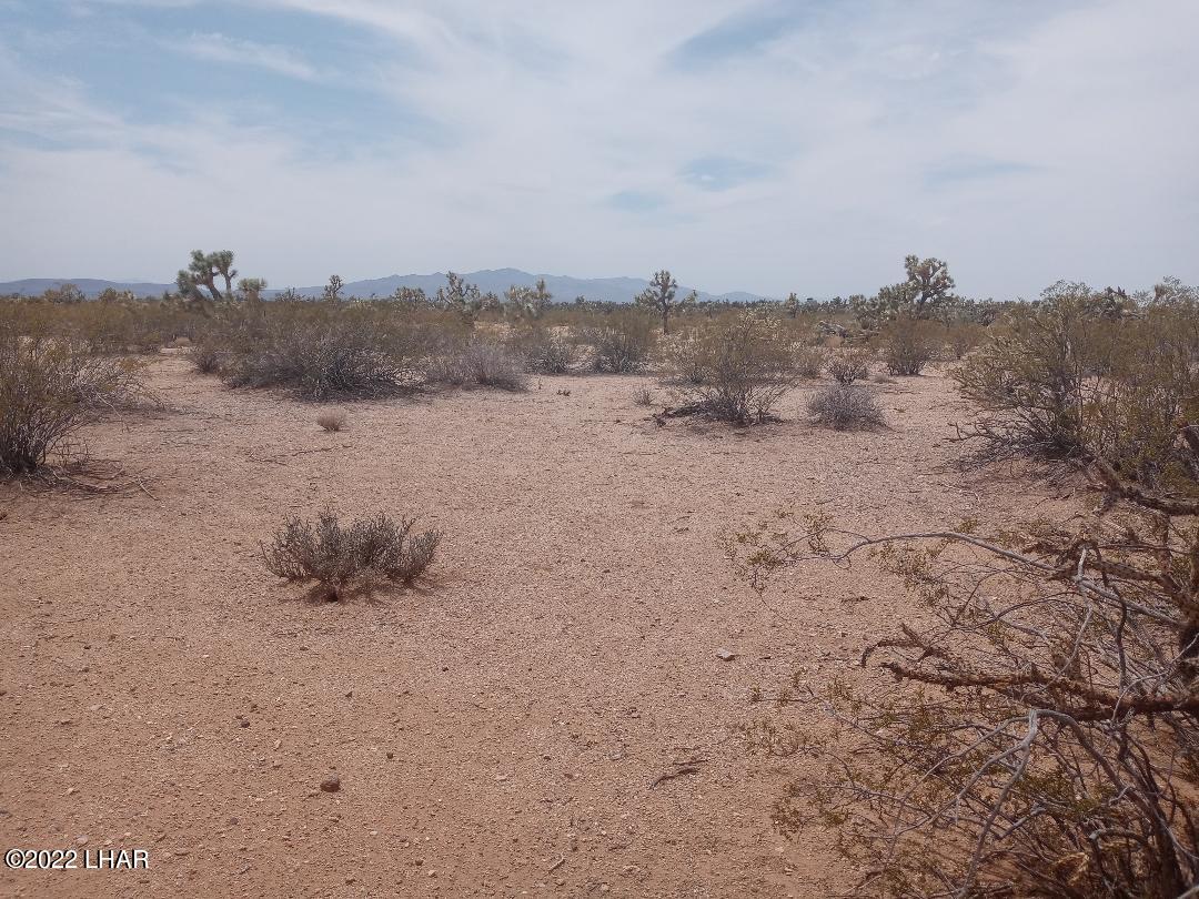 2075 South Cheyenne Road Yucca, AZ 86438 - Photo 7 of 26 More Panoramic Views