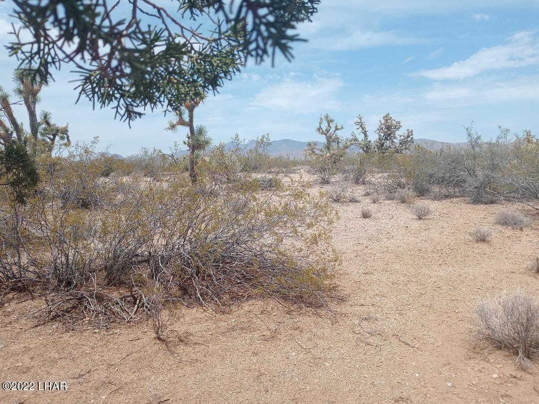 2075 South Cheyenne Road Yucca, AZ 86438 - Photo 9 of 26 Another Mt View