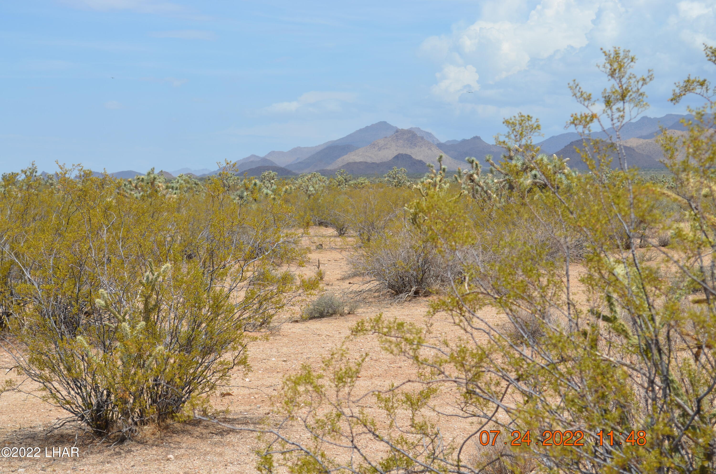 2075 South Cheyenne Road Yucca, AZ 86438 - Photo 10 of 26 Another View