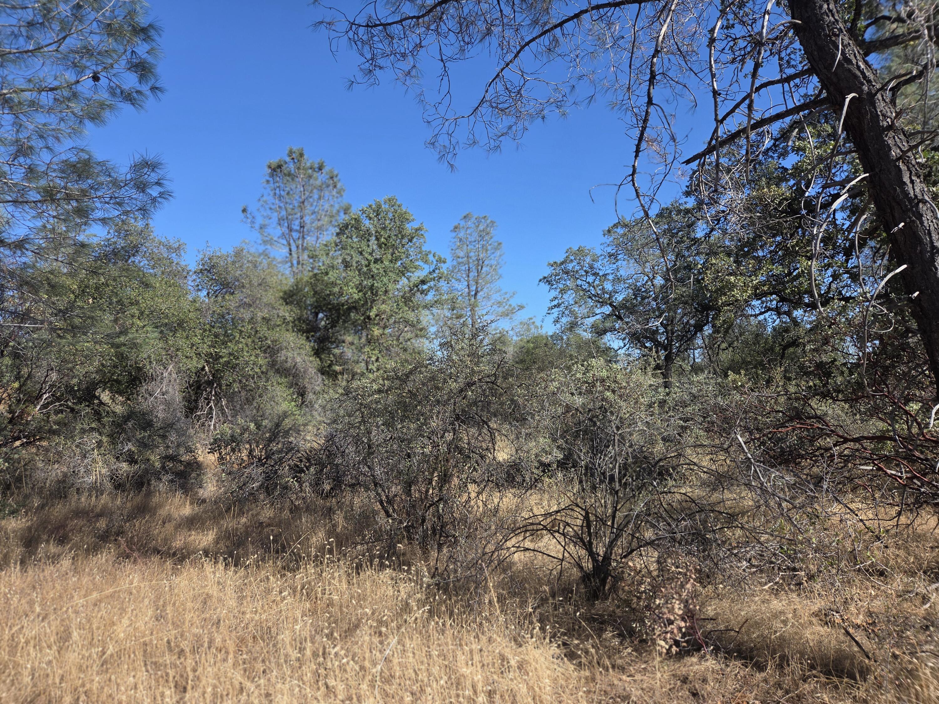 Lot 13 Dersch Road Shingletown, CA 96088 - Photo 8 of 13 PROP V5