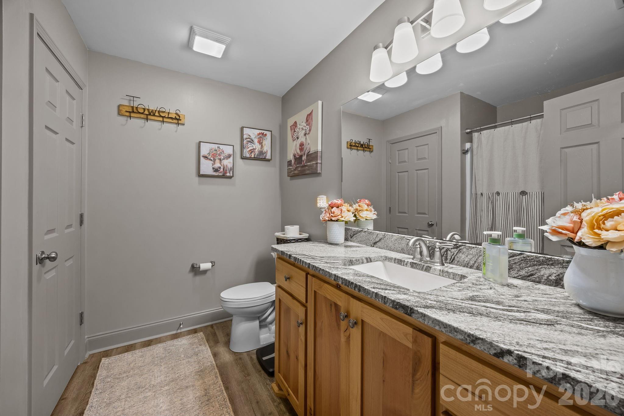 1464 State Rd S-46-996 York, SC 29745 - Photo 10 of 17 a bathroom with a granite countertop sink a toilet and a mirror