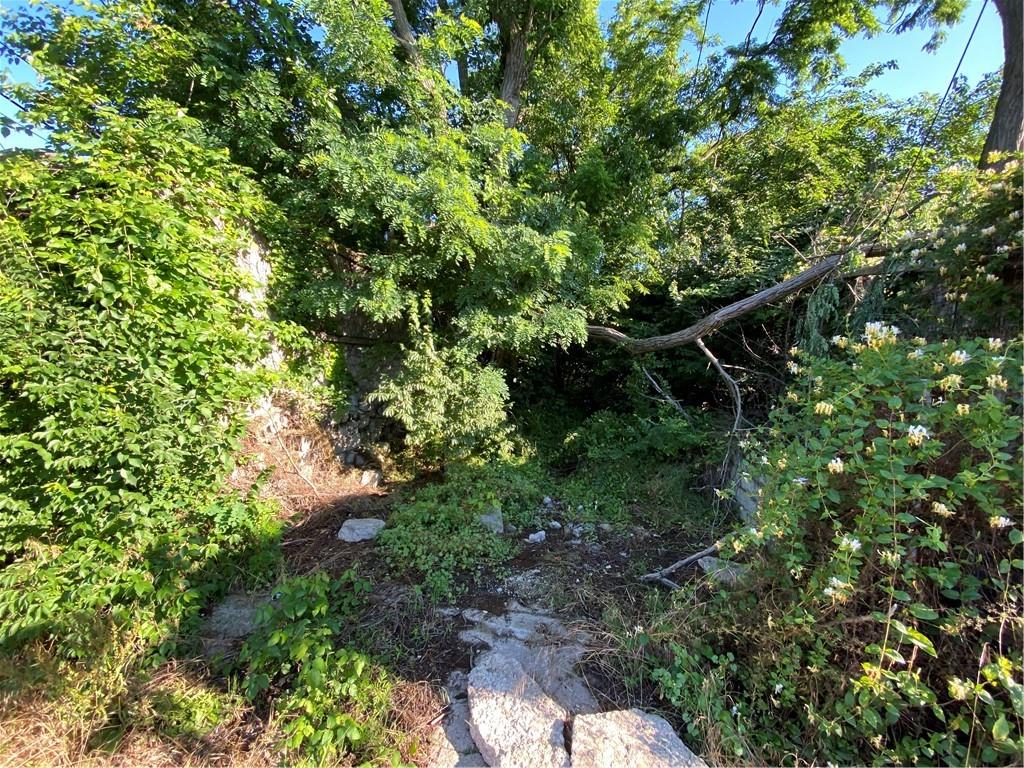 1219 West North Avenue Pittsburgh, PA 15233 - Photo 3 of 4 a backyard of a house with lots of green space