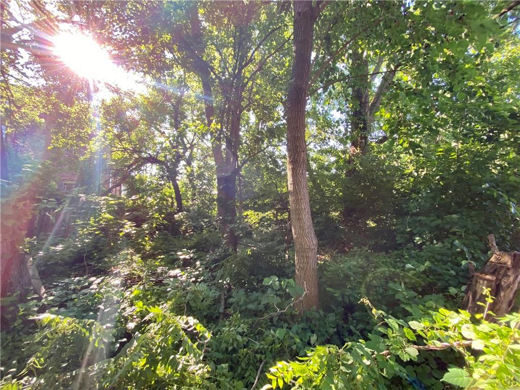 1219 West North Avenue Pittsburgh, PA 15233 - Photo 4 of 4 a backyard of a house