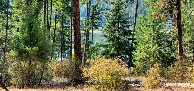 $150,000 | 42717 North Sundance Road, Elk, WA 99009