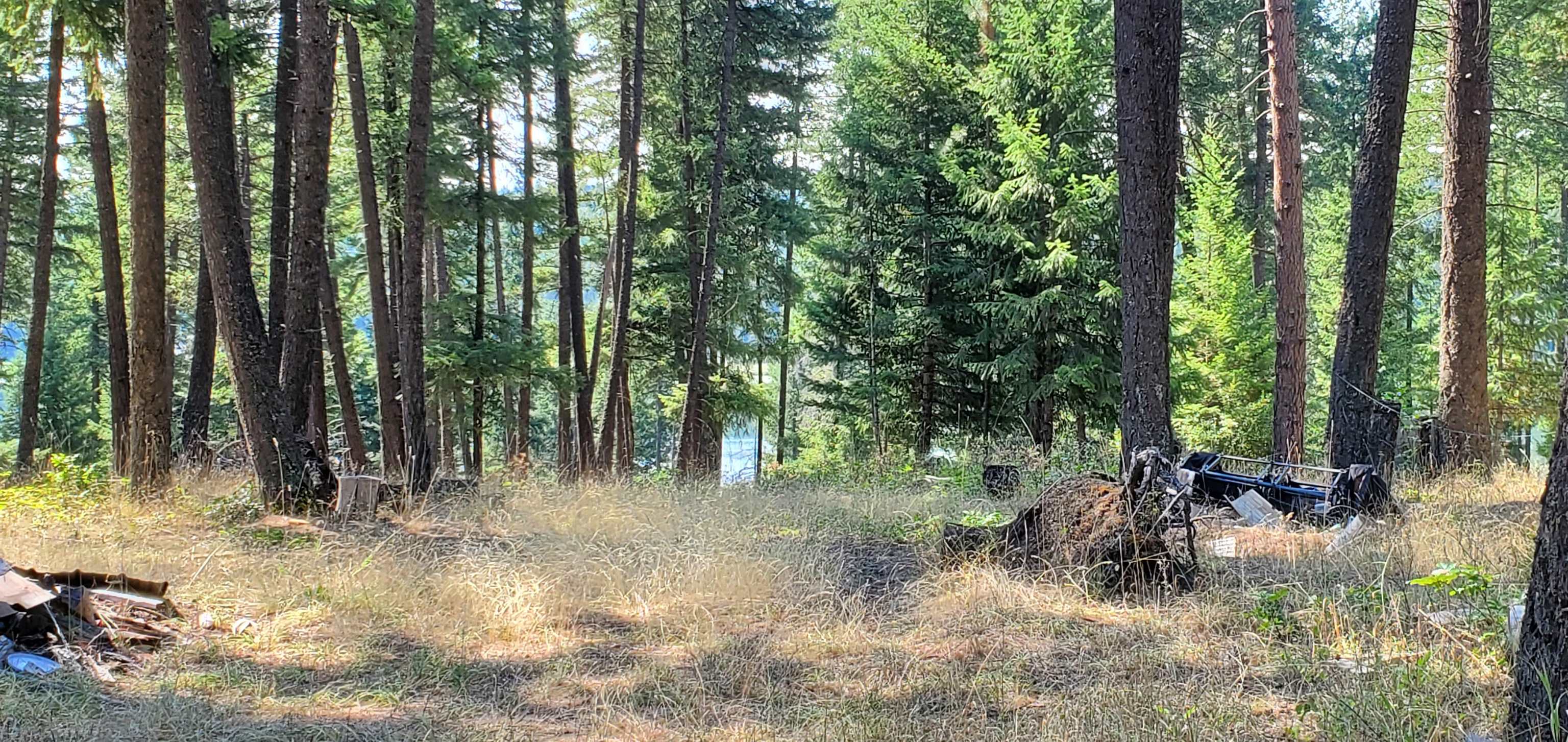 42717 North Sundance Road Elk, WA 99009 - Photo 7 of 12