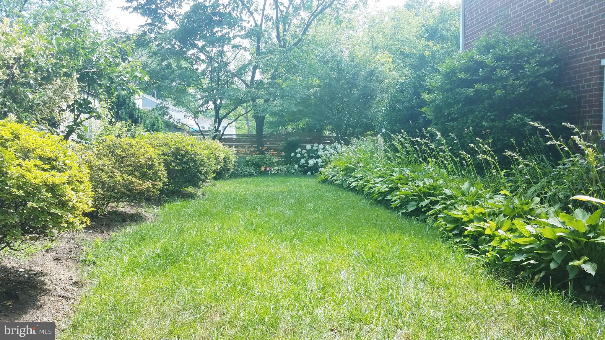 2208 Osborn Drive Silver Spring, MD 20910 - Photo 39 of 43