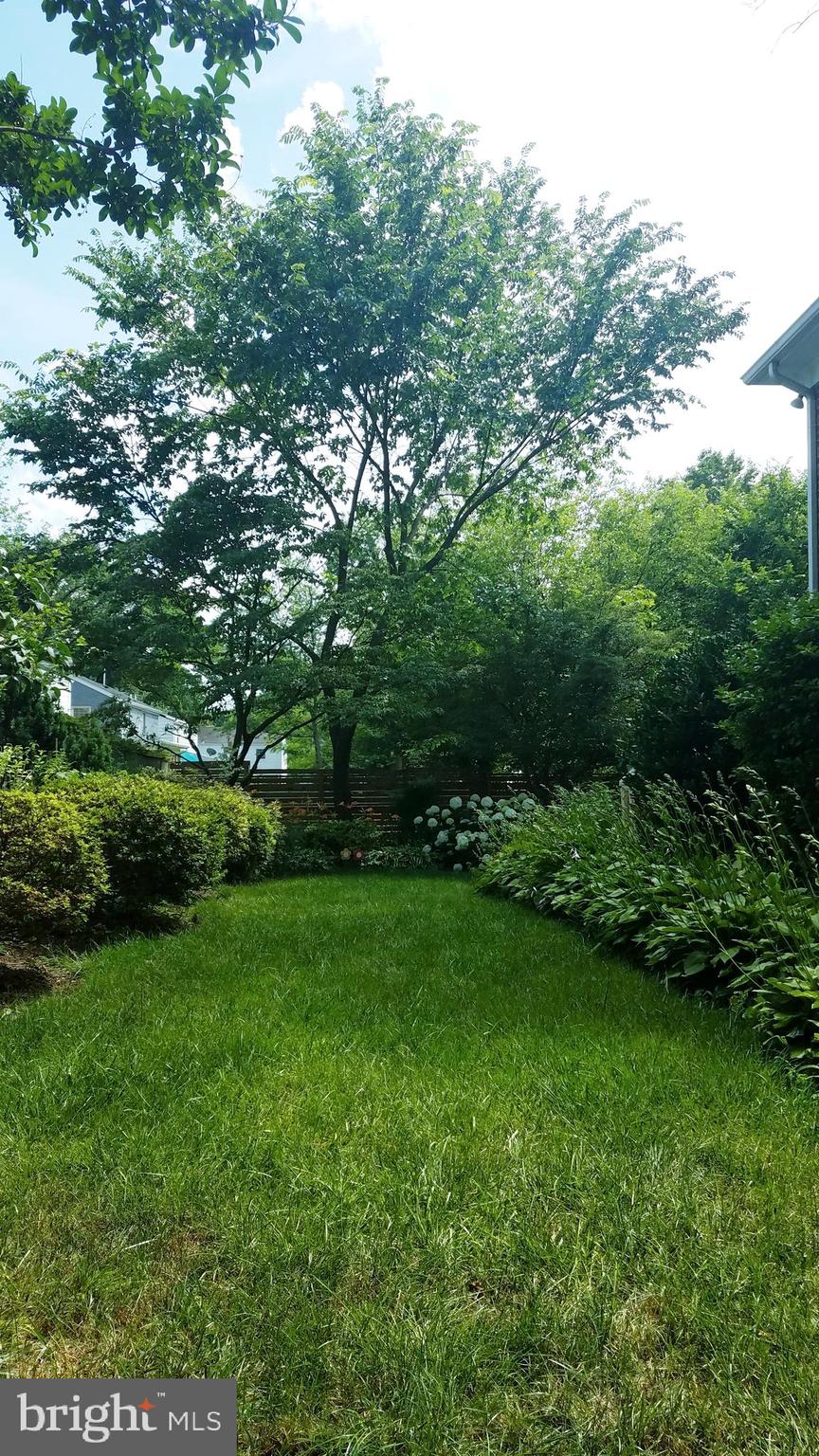 2208 Osborn Drive Silver Spring, MD 20910 - Photo 40 of 43