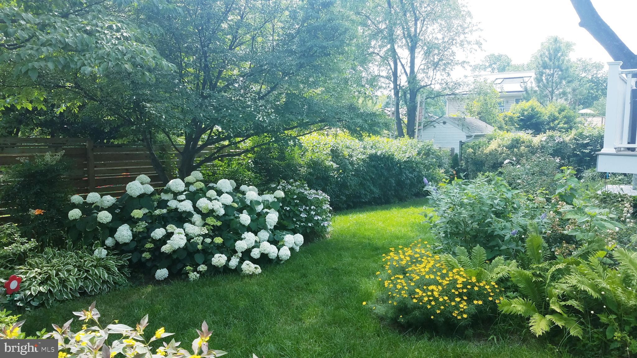 2208 Osborn Drive Silver Spring, MD 20910 - Photo 42 of 43